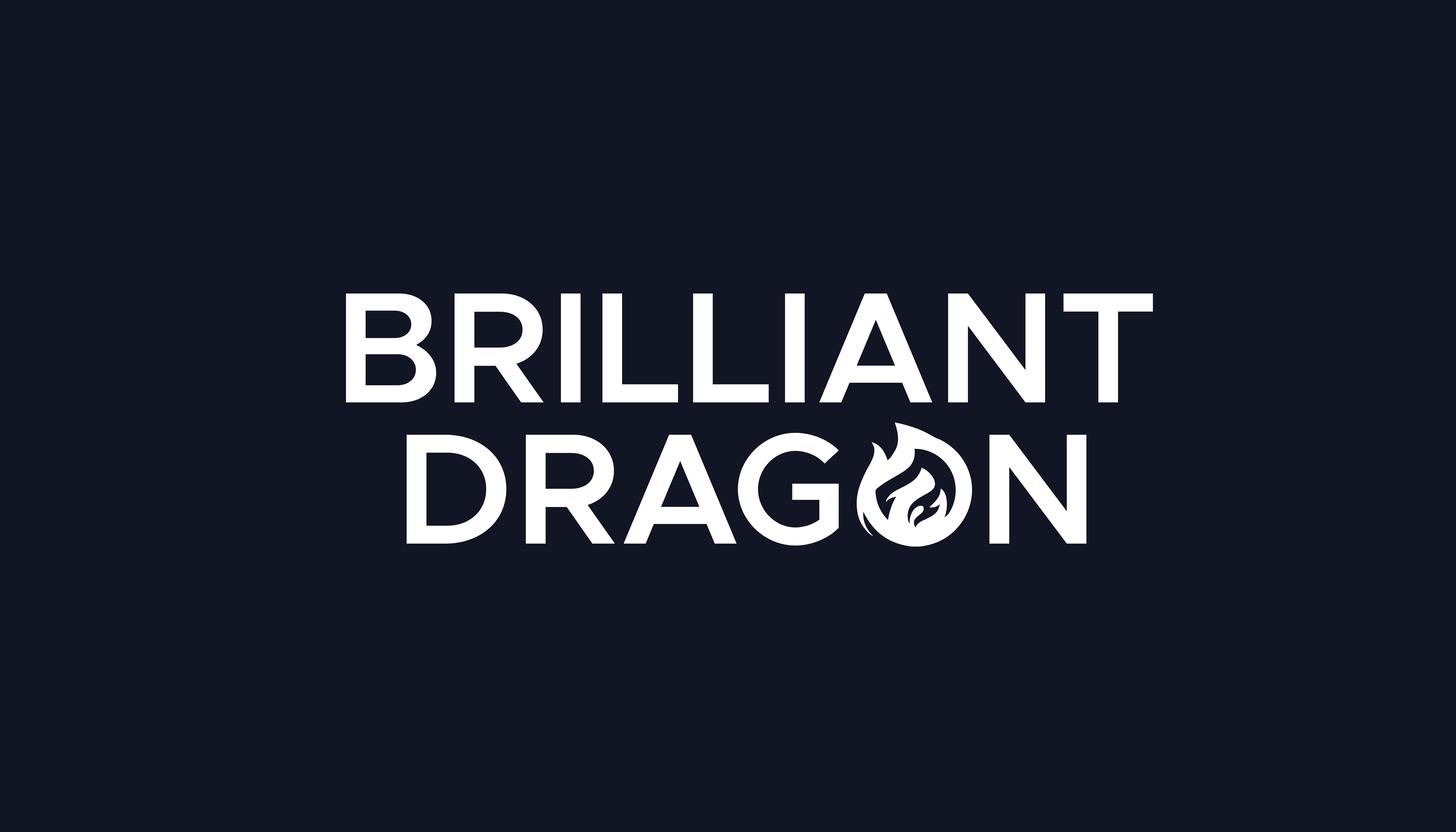Brilliant-Dragon Elec & Tech Co.,Ltd.