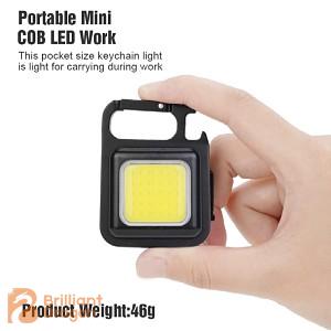 Mini multi function rechargeable flashlight