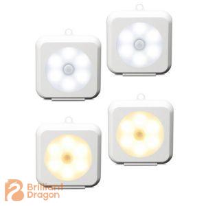 Sensor light with hook