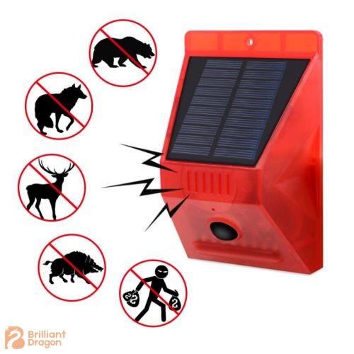 Solar sensor warning alarm light